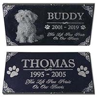 Algopix Similar Product 18 - You Left Paw Prints on Our Hearts Pet