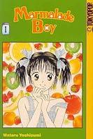 Algopix Similar Product 13 - Marmalade Boy, Vol. 1