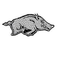 Algopix Similar Product 15 - FANMATS ProMark NCAA Arkansas Bling