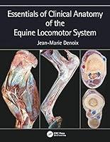 Algopix Similar Product 19 - Essentials of Clinical Anatomy of the