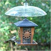 Algopix Similar Product 4 - PerkyPet 340 Transparent 16Inch
