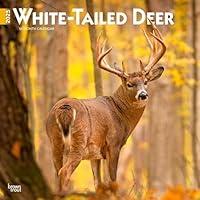 Algopix Similar Product 7 - White Tailed Deer 2025 12 X 24 Inch