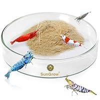 Algopix Similar Product 8 - SunGrow Tough Borosilicate Glass Shrimp