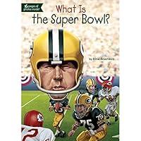 Algopix Similar Product 19 - What Is the Super Bowl?