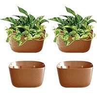 Algopix Similar Product 16 - WallyGrow Eco Wall Planter Create a