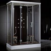 Algopix Similar Product 11 - Ariel Platinum DZ956F8 Steam Shower