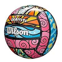 Algopix Similar Product 10 - Wilson Graffiti Volleyball (WTH4634ID)