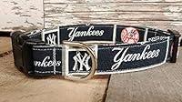 Algopix Similar Product 4 - New York Yankees NY Yankees dog collar