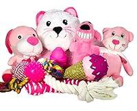 Algopix Similar Product 12 - Wolfe  Sparky Gift Pack of 5 Pink 