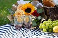 Algopix Similar Product 17 - Wicker Picnic Basket for 4 with Soft