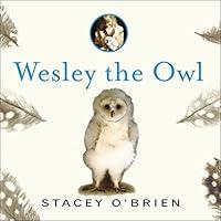Algopix Similar Product 10 - Wesley the Owl The Remarkable Love