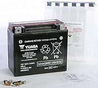 Algopix Similar Product 14 - Yuasa High Performance Maintenance Free
