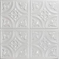 Algopix Similar Product 6 - From Plain To Beautiful In Hours 148