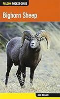 Algopix Similar Product 9 - Bighorn Sheep (Falcon Pocket Guides)