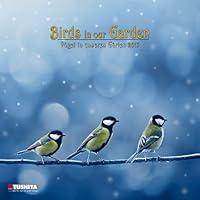 Algopix Similar Product 1 - Birds in your Garden