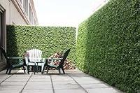 Algopix Similar Product 9 - Artificial Boxwood Hedge Privacy Hedge