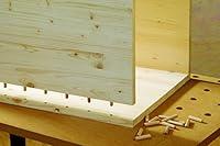 Algopix Similar Product 1 - Wolfcraft  2909 Dowel Pins Pack Of