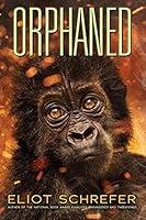 Algopix Similar Product 11 - Orphaned (4) (Ape Quartet)