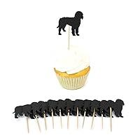 Algopix Similar Product 19 - Black Doodle Cupcake Toppers Pack of 12