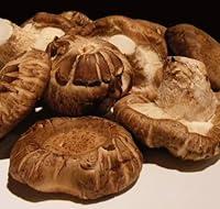 Algopix Similar Product 5 - Appox. 1 Lb Fresh Shiitake Mushrooms