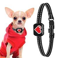 Algopix Similar Product 1 - Small Dog Bark Collar Rechargeable 