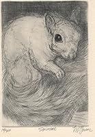 Algopix Similar Product 5 - Squirrel