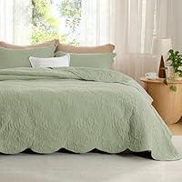 Algopix Similar Product 13 - Bedsure Queen Quilt Bedding Set 