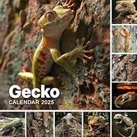 Algopix Similar Product 8 - Gecko Calendar 2025 365 Days of