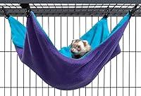 Algopix Similar Product 4 - Ferret Nation  Critter Nation