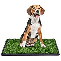 Algopix Similar Product 16 - Giantex 30x20 Puppy Pet Potty Grass