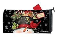 Algopix Similar Product 2 - Studio M Christmas Outdoor Mailbox