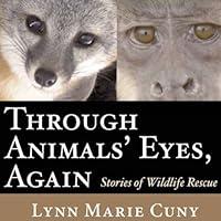 Algopix Similar Product 10 - Through Animals Eyes Again Stories