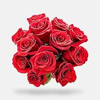 Algopix Similar Product 17 - Dozen Red Roses