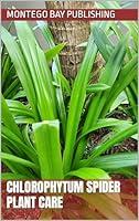 Algopix Similar Product 4 - Chlorophytum Spider Plant Care