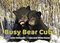 Algopix Similar Product 15 - Busy Bear Cubs (A Busy Book)