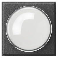 Algopix Similar Product 4 - GIRA 141567 Cover Colour Camera TX