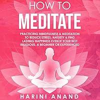Algopix Similar Product 8 - How to Meditate Practicing Mindfulness