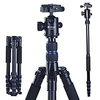 Algopix Similar Product 13 - Foldable Camera Tripod Adjustable
