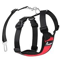 Algopix Similar Product 11 - Pawaboo Dog Safety Vest Harness Pet