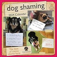 Algopix Similar Product 3 - Dog Shaming 2024 Wall Calendar