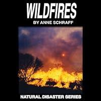 Algopix Similar Product 3 - Wildfires: The Natural Disasters Series