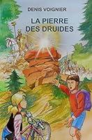 Algopix Similar Product 5 - La Pierre des Druides (French Edition)