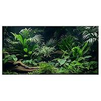 Algopix Similar Product 13 - Dizifinn Aquarium Background Aquatic