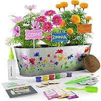 Algopix Similar Product 19 - Paint  Plant Flower Growing Kit for
