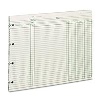Algopix Similar Product 6 - Wilson Jones Ledger Paper Balance