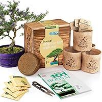 Algopix Similar Product 9 - AllinOne Premium Bonsai Tree Kit 