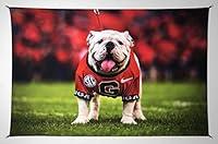 Algopix Similar Product 6 - UGA Georgia Bulldogs Photo Flag