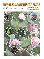 Algopix Similar Product 5 - Armored Scale Insect Pests of Trees and