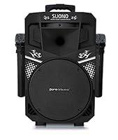 Algopix Similar Product 8 - Pure Acoustics Wireless Portable