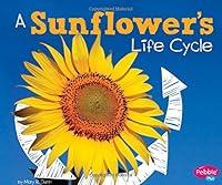 Algopix Similar Product 5 - A Sunflowers Life Cycle Explore Life